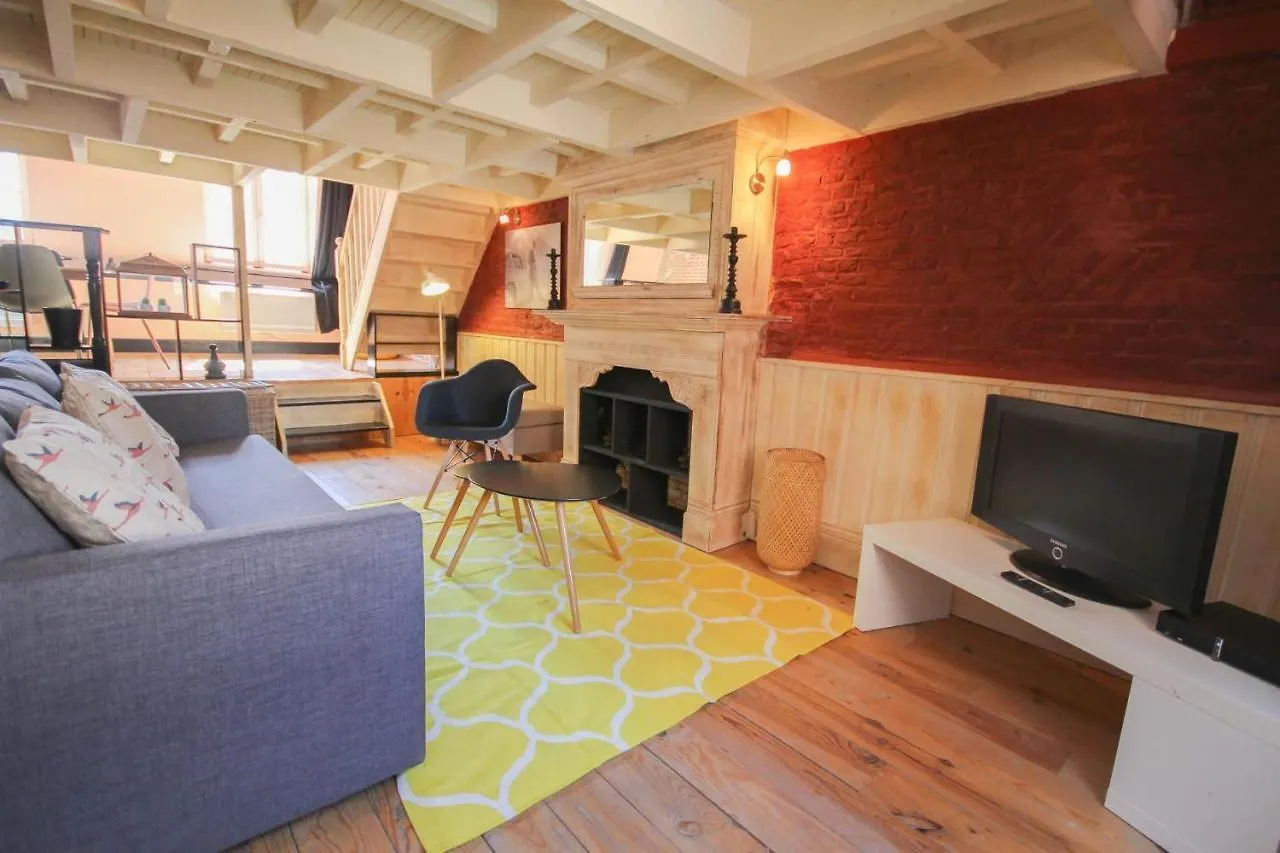 Old Lille - Superb Loft-Type Terrace! Apartment